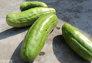 如何吃脆脆瓜,脆脆瓜的完美食用指南