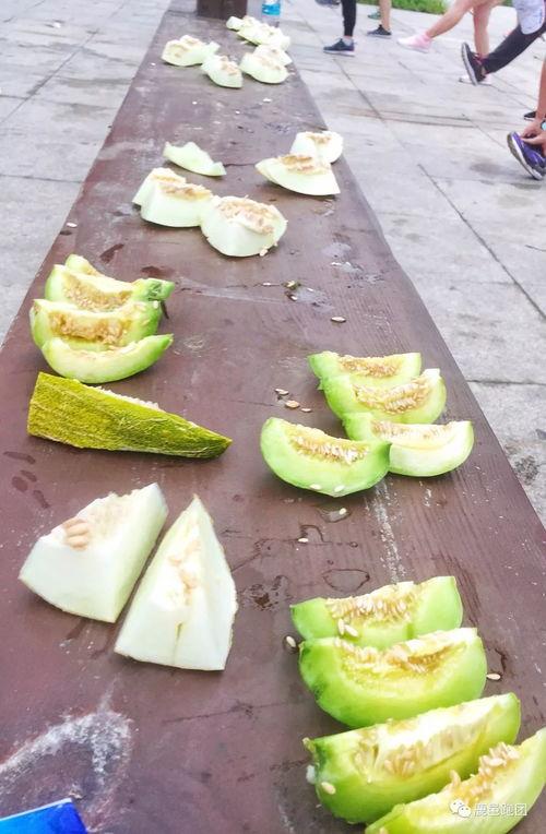鹿邑县吃瓜,瓜香四溢，品味民俗风情