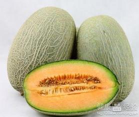 透析吃哈密瓜,透析患者适宜的哈密瓜食用指南