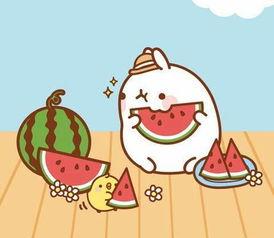 群众吃瓜怎么称呼