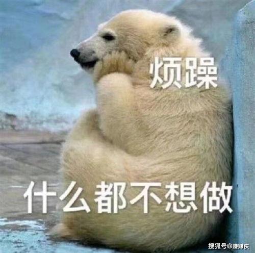 我坐着吃瓜图片,笑谈人间